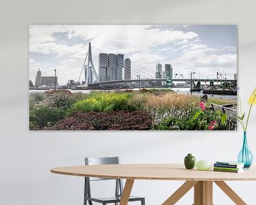 World city Rotterdam on the Maas in summer by Chez Michel