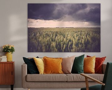Stormachtige agricultuur landschap boven de polder van Fotografiecor .nl