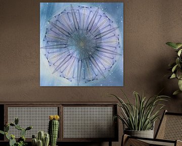 Mandala - heaven flower by Christine Nöhmeier