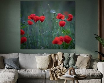 Poppies by Ingrid Ronde