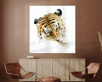 Siberian tiger by Bianca Snip