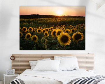 Sonnenblumen in Frankreich von Mark Wijsman