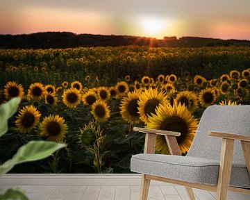 Sunflowers in France by Mark Wijsman