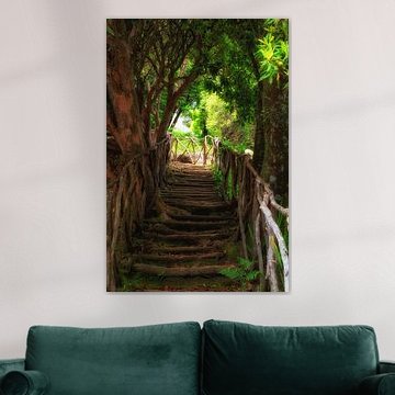 Rustic stairs