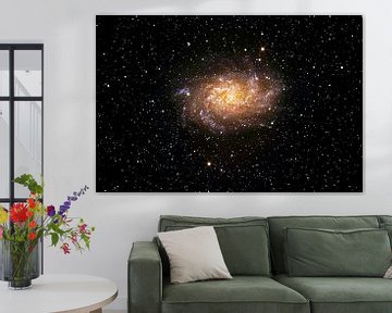 triangulum galaxy - Messier 33 by Monarch C.