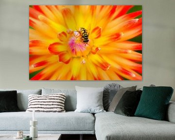 Zweefvlieg op kleurrijke bloem van Alvin Aarnoutse