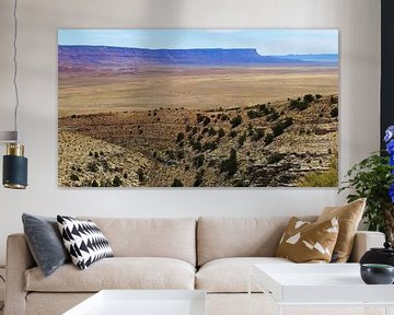 Canyon Look Arizona von Marek Bednarek