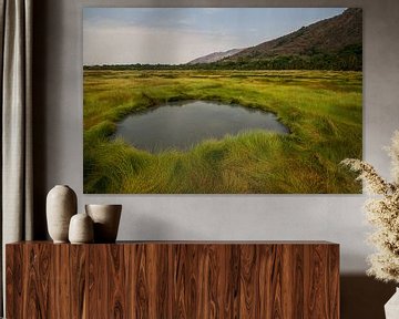 Water hot spring in the green grass by Geke Woudstra