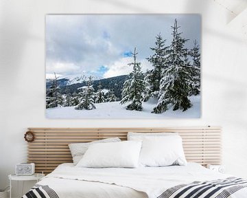 Winter in the Giant Mountains, Czech Republic van Rico Ködder