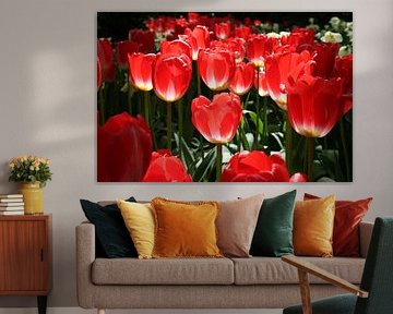 Red Tulips by LIES fotografie