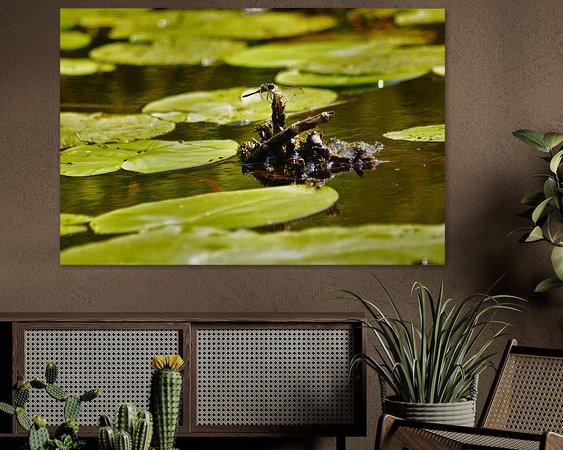 Aperçu de la chambre