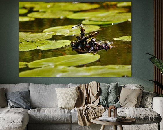 Aperçu de la chambre