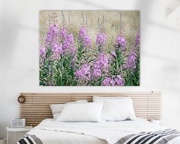 willowherb by wendela kemper