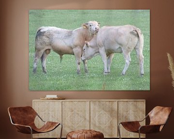 Een stier en een koe in love van rene marcel originals