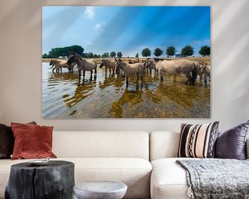 Konikpaarden in het water. by Brian Morgan