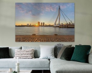 Erasmusbrug in Rotterdam van Michael Valjak