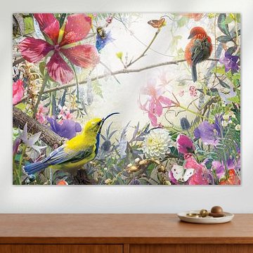 Merveilleux (4:3) sur Jesper Krijgsman