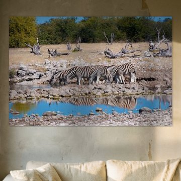 Zebra's at the waterhole