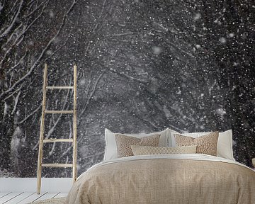 Snow by Een Vrouwsel