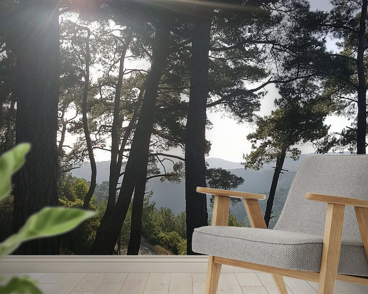 Raumvorschau