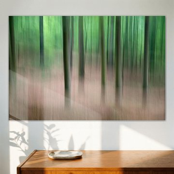 Bäume in Bewegung - Frühling 2018 - 3