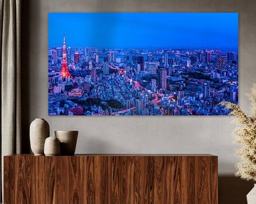Tokyo in Red and Blue sur Sander Peters