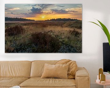 Zonsopkomst op de Loonse en Drunense duinen