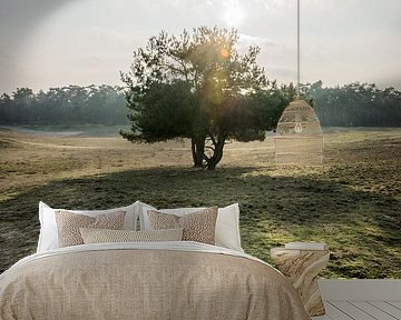 Baum in der Sonne von Exposure Visuals