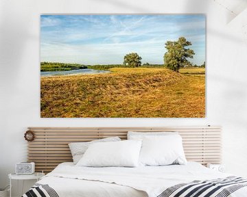 Zomer in de Biesbosch van Ruud Morijn