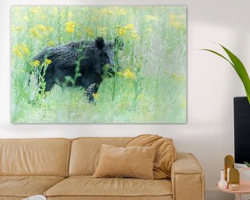Wild boar