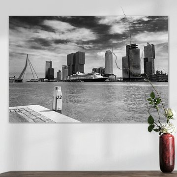 Kop van Zuid, Rotterdam van Domenique van der Horst