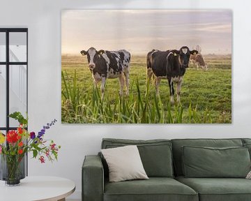 Junge Kühe im Morgennebel von Yvonne van Driel