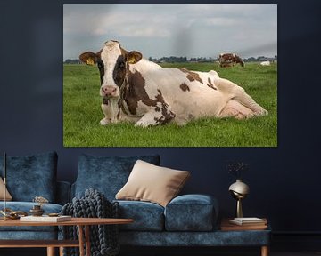 Relaxed cow