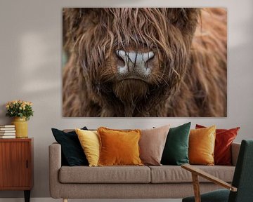 Schotse hooglander koe portret van Yvonne van Driel