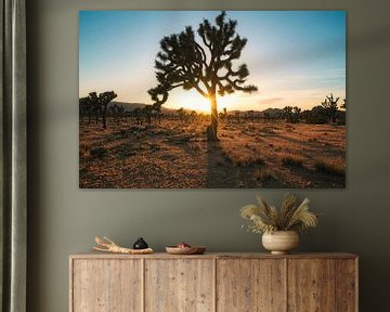 Silhouetten in der Wüste von Joris Pannemans - Loris Photography