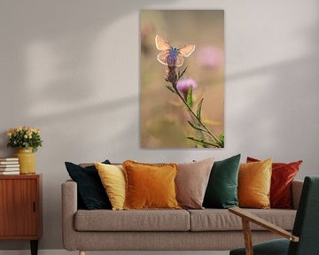 Butterfly van Lisa Antoinette Photography