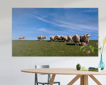 Sheep on the dyke by Fonger de Vlas