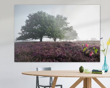 Bomen in de mist op de Strabrechtse Heide