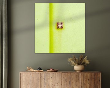 Abstract van pastel groen op een roestig paneel van Texel eXperience