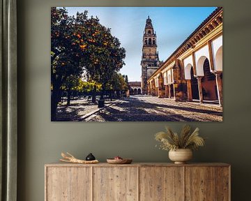 Cordoba - Mezquita / Patio de los Naranjos van Alexander Voss