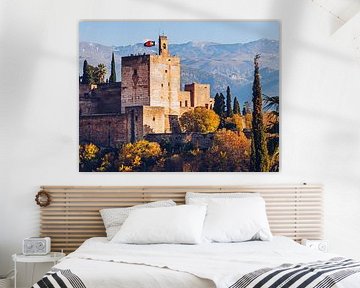 Alhambra (Granada, Spain) van Alexander Voss