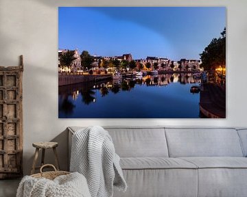Langs het Spaarne von Bart Veeken
