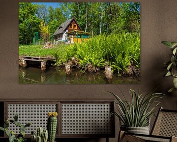 Landscape in the Spreewald area, Germany