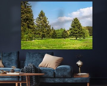 Landscape with trees in the Harz mountains, Germany