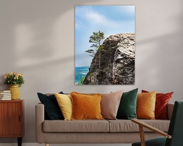 Landscape with tree and rocks in the Harz mountains, Germany van Rico Ködder