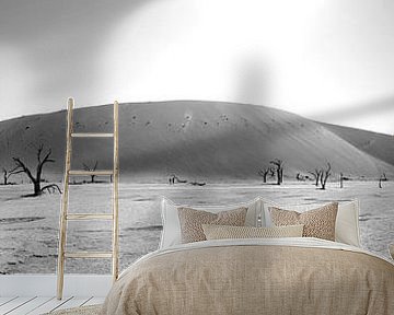 De Sossusvlei by Patrick van Emst