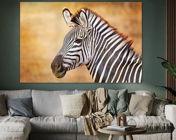 Zebra in Zambia by W. Woyke