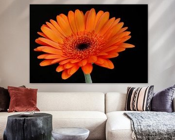 Orange Flower van Hans Levendig (lev&dig fotografie)
