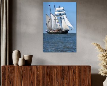 Three-masted topsail schooner Gulden Leeuw sailing on the Waddensea by Sjoerd van der Wal Photography