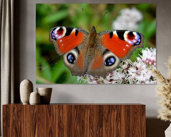 Raumvorschau